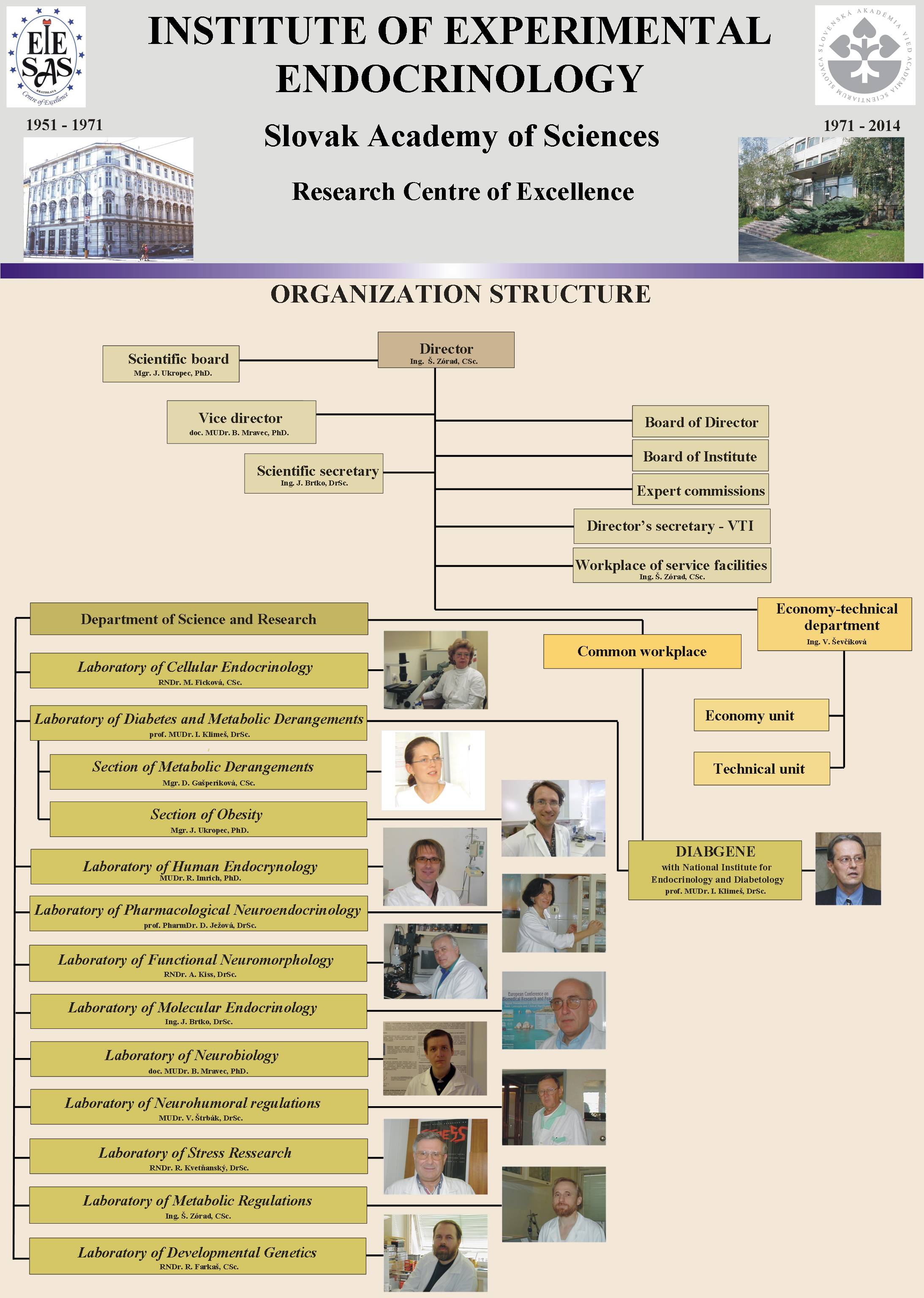 Organization structure of IEE